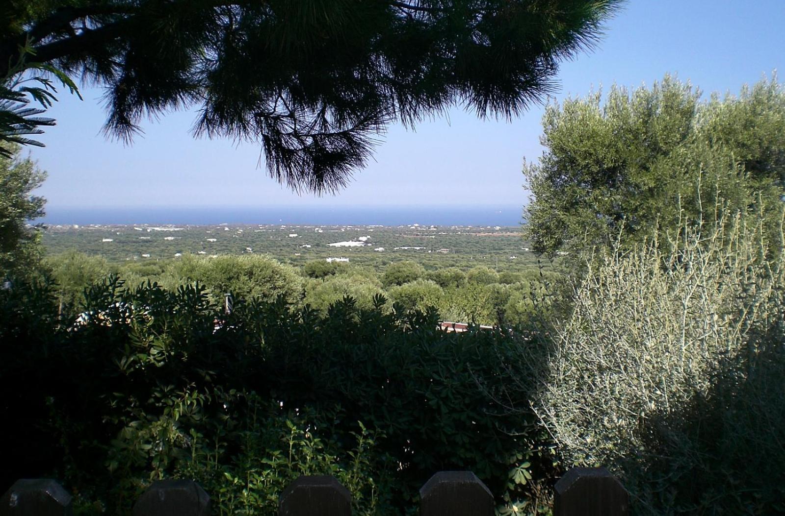 Bed And Breakfast La Casetta Monopoli Exterior foto
