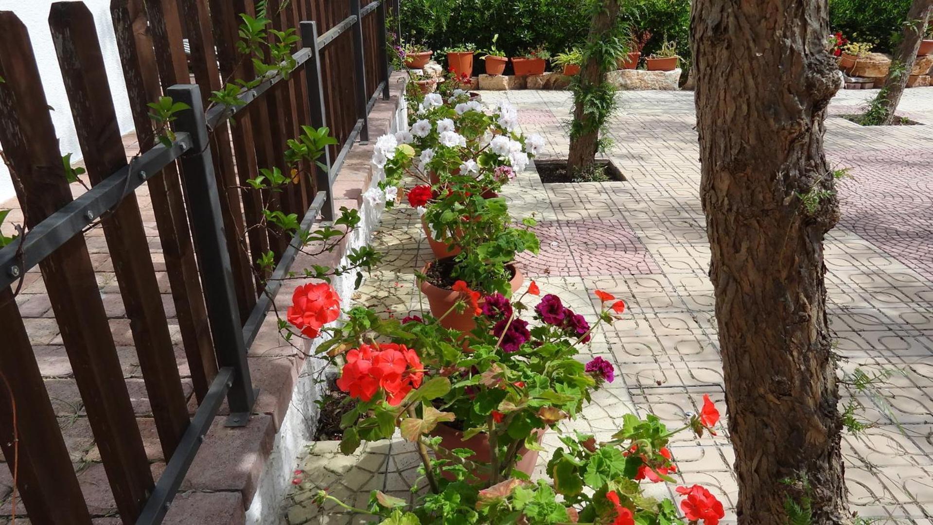 Bed And Breakfast La Casetta Monopoli Exterior foto